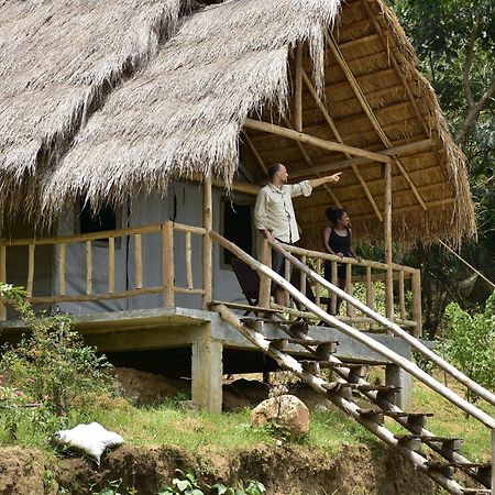 Ella Jungle Resort Екстериор снимка