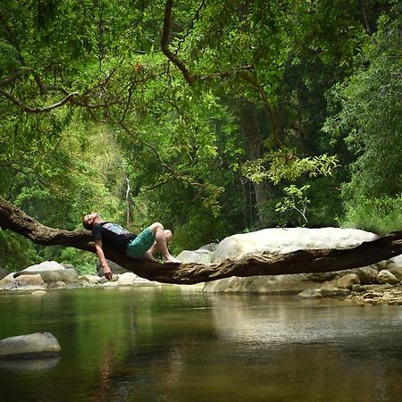 Ella Jungle Resort Екстериор снимка