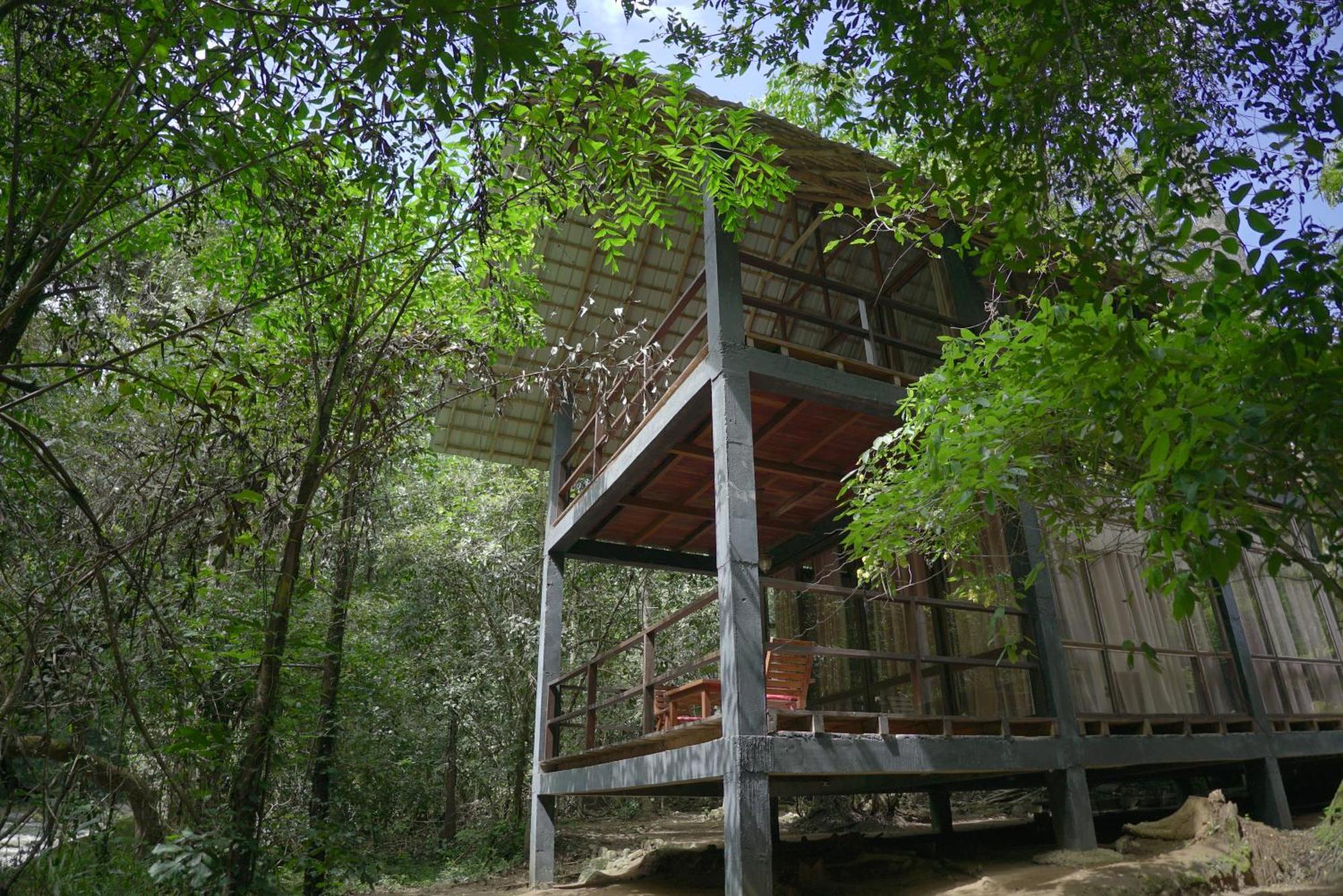 Ella Jungle Resort Екстериор снимка
