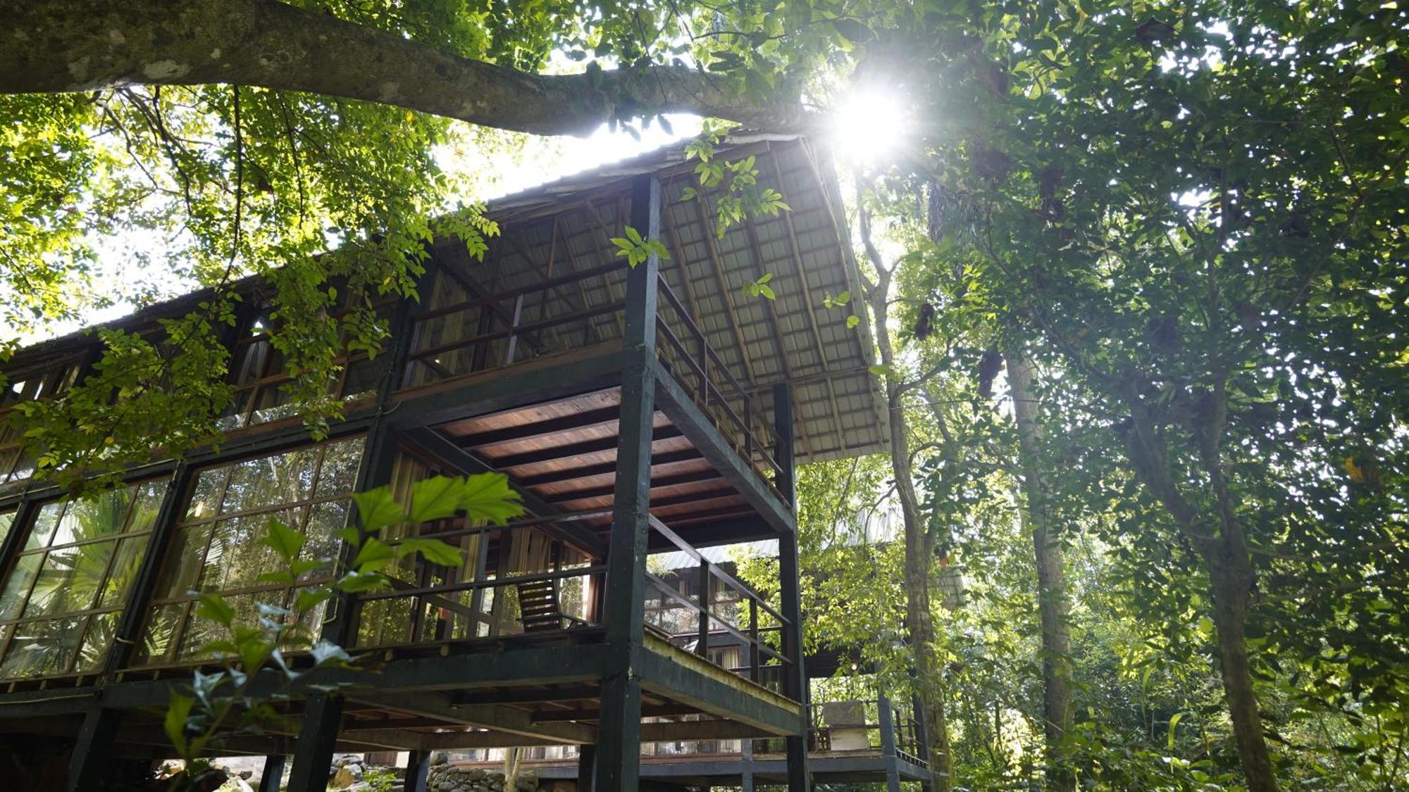 Ella Jungle Resort Екстериор снимка