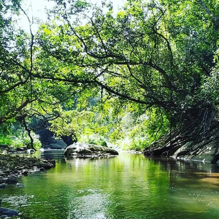 Ella Jungle Resort Екстериор снимка