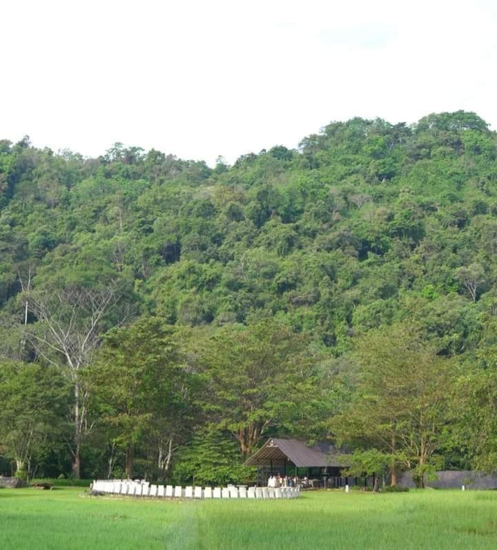 Ella Jungle Resort Екстериор снимка