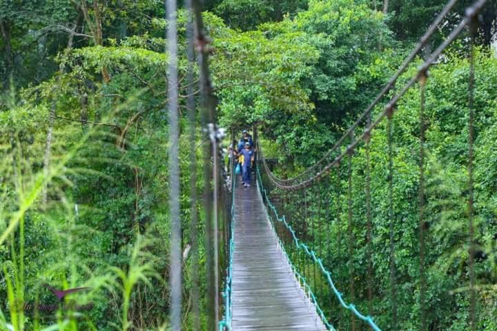Ella Jungle Resort Екстериор снимка