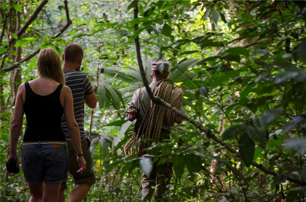 Ella Jungle Resort Екстериор снимка