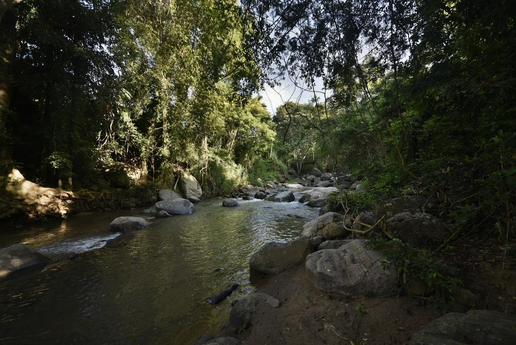 Ella Jungle Resort Екстериор снимка