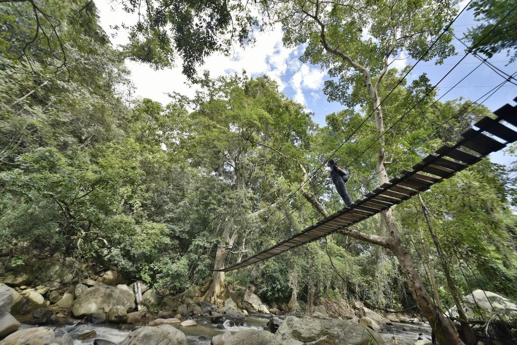 Ella Jungle Resort Екстериор снимка
